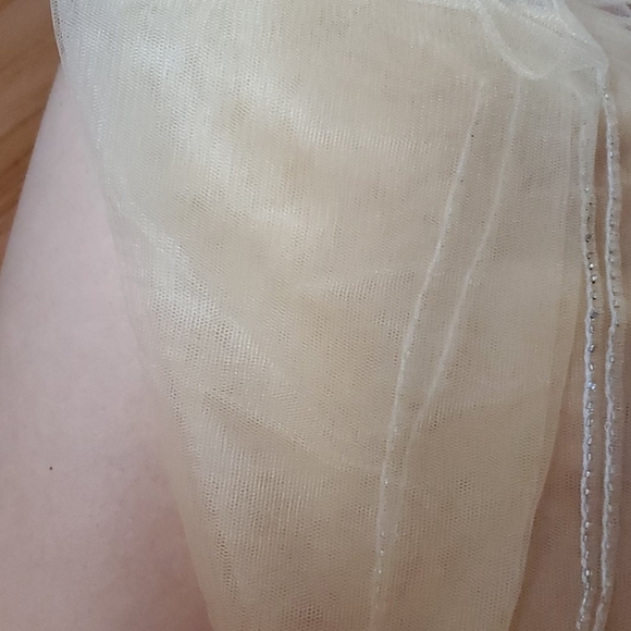 Sheer beaded nude shawl - Picture 5 of 7